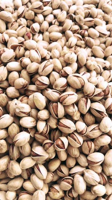پسته فندفی صادراتی + کیفیت مطلوب برای تجارت بین المللی + قیمت و خرید عمده